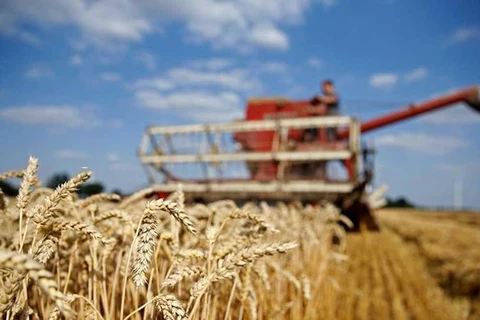 Nga giám sát hoạt động xuất khẩu lương thực sang các nước 'thù địch'