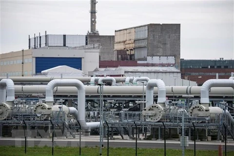 Đức nhận định về vấn đề giảm phụ thuộc vào dầu nhập khẩu của Nga