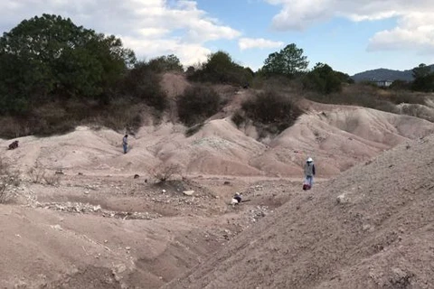 Mexico: Phát hiện hóa thạch nhím có niên đại 30 triệu năm