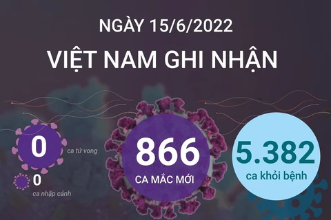 [Infographics] Ngày 15/6, cả nước có 5.382 ca mắc COVID-19 khỏi bệnh