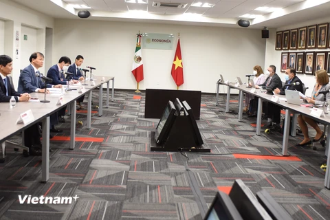 Toàn cảnh cuộc họp giữa Thứ trưởng Đỗ Thắng Hải và Thứ trưởng Luz Maria de la Mora. (Ảnh: Việt Hùng/Vietnam+)