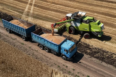 Tổng thống Nga kêu gọi phương Tây dỡ bỏ hạn chế xuất khẩu ngũ cốc