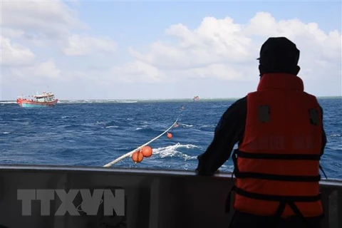 Quảng Bình: Đưa 8 thuyền viên trôi dạt trên biển vào bờ an toàn