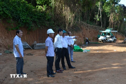 Đà Nẵng: Xử lý vụ tự ý san ủi, mở đường trên đất rừng sản xuất