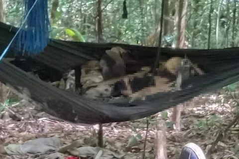 Phát hiện hai bộ xương người khô nằm trên võng trong rừng tại Gia Lai