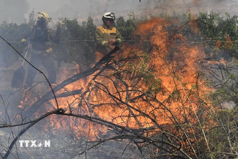 Tây Ban Nha: 15 cộng đồng tự trị bị ảnh hưởng do cháy rừng