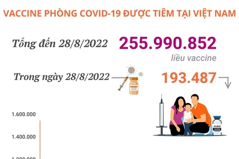 Hơn 255,99 triệu liều vaccine phòng COVID-19 đã được tiêm tại Việt Nam