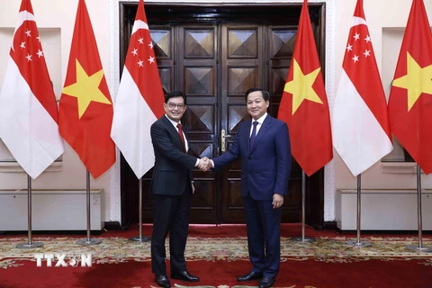 Phó Thủ tướng Lê Minh Khái hội đàm với Phó Thủ tướng Singapore