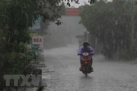 Khu vực Tây Bắc và Việt Bắc có mưa rào và dông rải rác