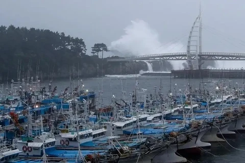 Nhật Bản và Hàn Quốc sẵn sàng ứng phó với siêu bão Nanmadol