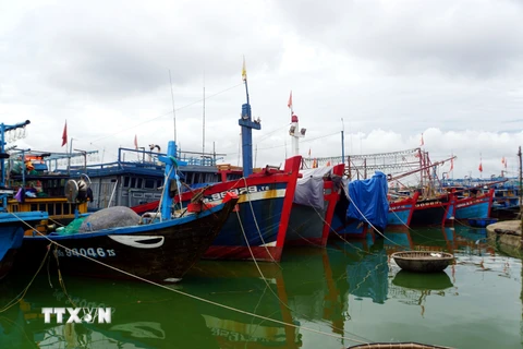 Quảng Bình: Hơn 6.000 tàu cá đã vào nơi tránh trú an toàn