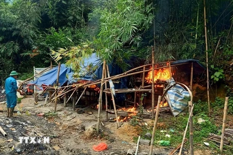 Đắk Nông: Tiêu hủy lán trại của các đối tượng khai thác vàng trái phép