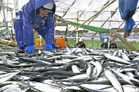 Nga và Na Uy thống nhất hạn ngạch đánh bắt cá năm 2023