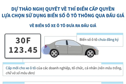 Thông tin về cấp quyền lựa chọn sử dụng biển số ô tô thông qua đấu giá