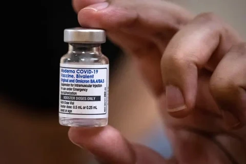 Nhật Bản cấp phép lưu hành vaccine đặc hiệu chống BA.5 của Moderna