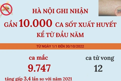 [Infographics] Hà Nội ghi nhận gần 10.000 ca mắc sốt xuất huyết