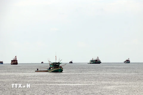 Xử lý nghiêm các tàu cá vi phạm quy định trên vùng biển Cà Mau