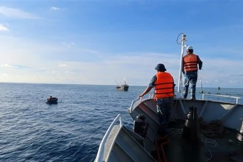 Bình Thuận: Tàu cá bị đâm chìm trên biển, 8 thuyền viên được cứu sống