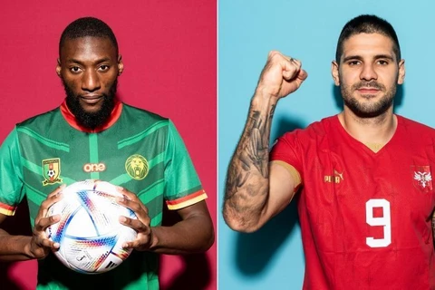 Link xem trực tiếp Cameroon-Serbia đá trận 'sinh tử' ở World Cup 2022