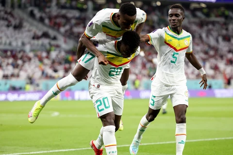 Link xem trực tiếp Ecuador-Senegal tranh vé vòng 1/8 World Cup 2022