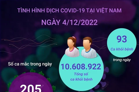 [Infographics] Ngày 4/12: Có 205 ca COVID-19 mới, 93 F0 khỏi bệnh
