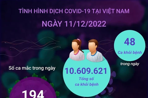 [Infographics] Tình hình dịch COVID-19 tại Việt Nam ngày 11/12