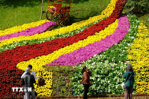 [Photo] Nghìn hoa khoe sắc trước thềm khai mạc Festival hoa Đà Lạt