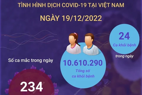 [Infographics] Thông tin về tình hình COVID-19 tại Việt Nam ngày 19/12