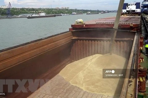 Thổ Nhĩ Kỳ xác nhận kế hoạch vận chuyển ngũ cốc Nga đến châu Phi