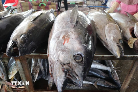 Lần đầu tiên cá ngừ trở thành ngành hàng giá trị tỷ USD 