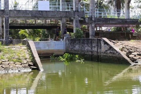 Xu thế xâm nhập mặn tại Đồng bằng sông Cửu Long tiếp tục tăng