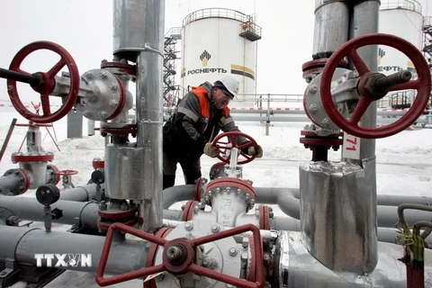 Nga khẳng định tăng cường bảo vệ các đường ống dẫn khí đốt