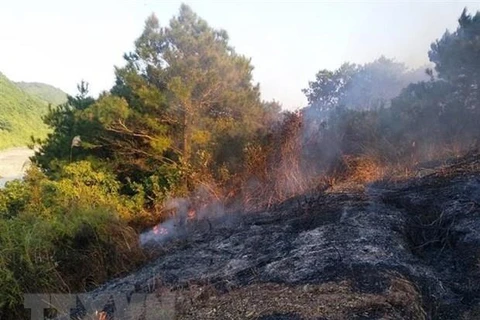 Kon Tum: Cháy rừng tại huyện Sa Thầy, hai người tử vong