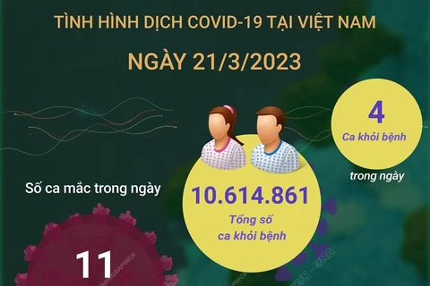 [Infographics] Tình hình dịch bệnh COVID-19 tại Việt Nam ngày 21/3