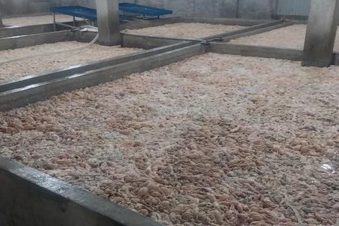 Bắc Ninh tiêu hủy hơn 7 tấn lòng lợn chưa qua sơ chế, bốc mùi hôi thối