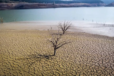 Tây Ban Nha trải qua tháng 3 ấm và khô hạn tồi tệ thứ hai trong thế kỷ