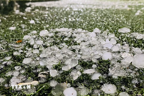 Quảng Ngãi: Xuất hiện mưa đá sau nhiều ngày nắng nóng gay gắt