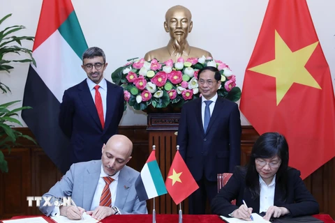 Nâng cao hơn nữa hiệu quả hợp tác giữa Việt Nam và UAE