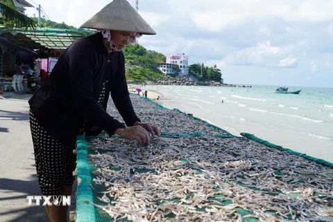 Kiên Giang giữ thương hiệu cho sản phẩm cá khô xứ biển, đảo