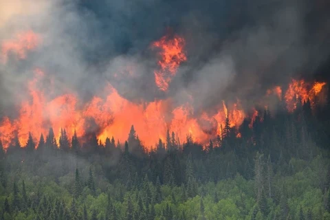 Canada ghi nhận lượng khí CO2 cao kỷ lục do cháy rừng từ đầu năm