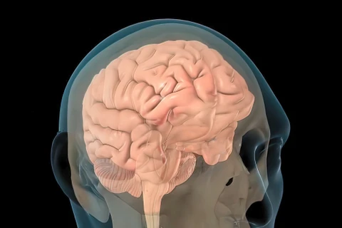 Ứng dụng AI cải thiện trí nhớ cho bệnh nhân bị chấn thương sọ não