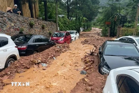 Hà Nội: Nhiều ôtô bị mắc kẹt cạnh khu vực đất đồi Sóc Sơn do mưa lớn