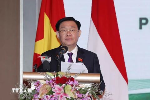 Thúc đẩy hợp tác kinh tế, thương mại, đầu tư Việt Nam-Indonesia