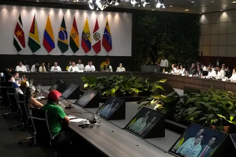 Các nước vùng Amazon nhất trí thành lập liên minh chống phá rừng
