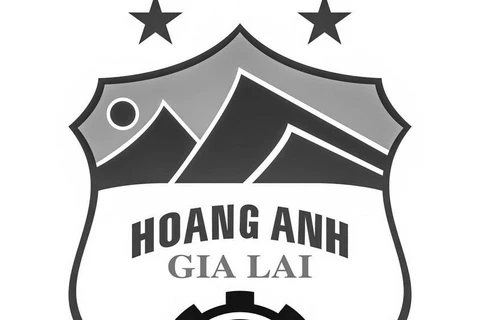 Bóng đá Việt Nam sẻ chia nỗi mất mát to lớn của Hoàng Anh Gia Lai