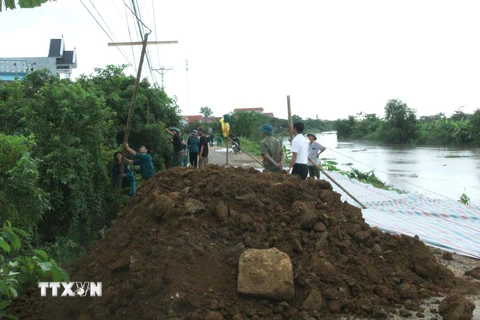 Thanh Hóa: Lại xảy ra sự cố nứt, sạt trượt mặt và thân đê tả sông Càn