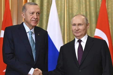 Lãnh đạo Nga và Thổ Nhĩ Kỳ sắp điện đàm về thỏa thuận ngũ cốc