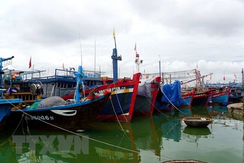 Các tỉnh, thành từ Quảng Ninh-Khánh Hòa chủ động ứng phó với bão số 4