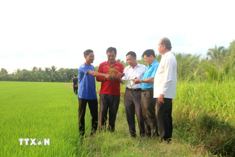 Truyền cảm hứng làm giàu cho những người nông dân Khmer ở Trà Vinh