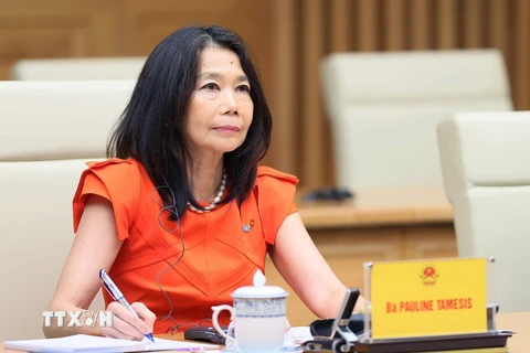 Bà Pauline Tamesis, Điều phối viên thường trú của Liên hợp quốc tại Việt Nam, phát biểu. (Ảnh: Dương Giang/TTXVN)